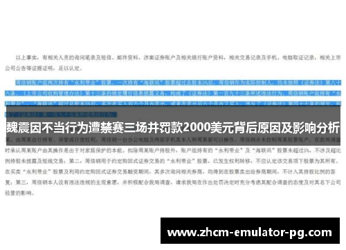 魏震因不当行为遭禁赛三场并罚款2000美元背后原因及影响分析